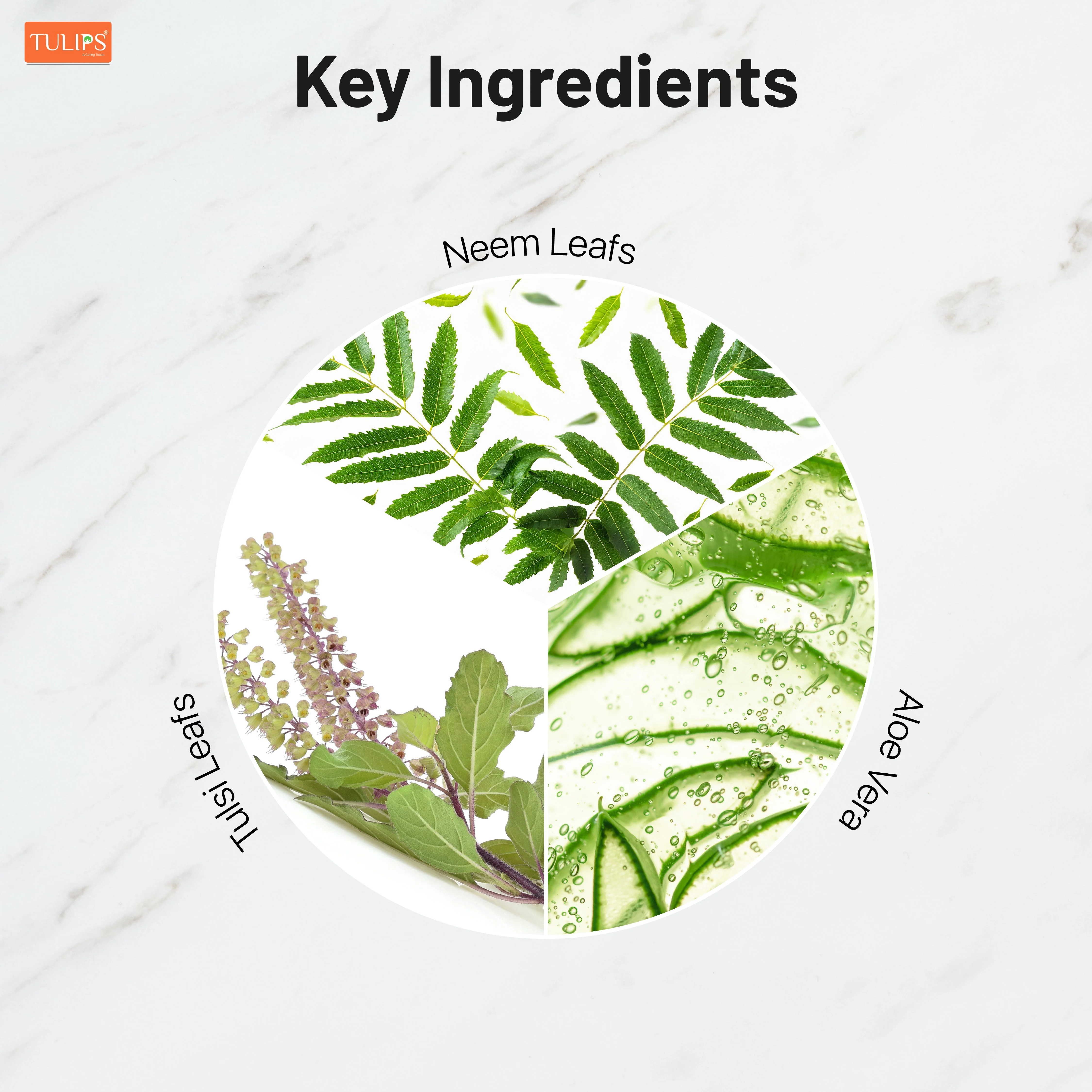 Neem & Tulsi (125 G) - Handmade Bathing Bar - Image 7