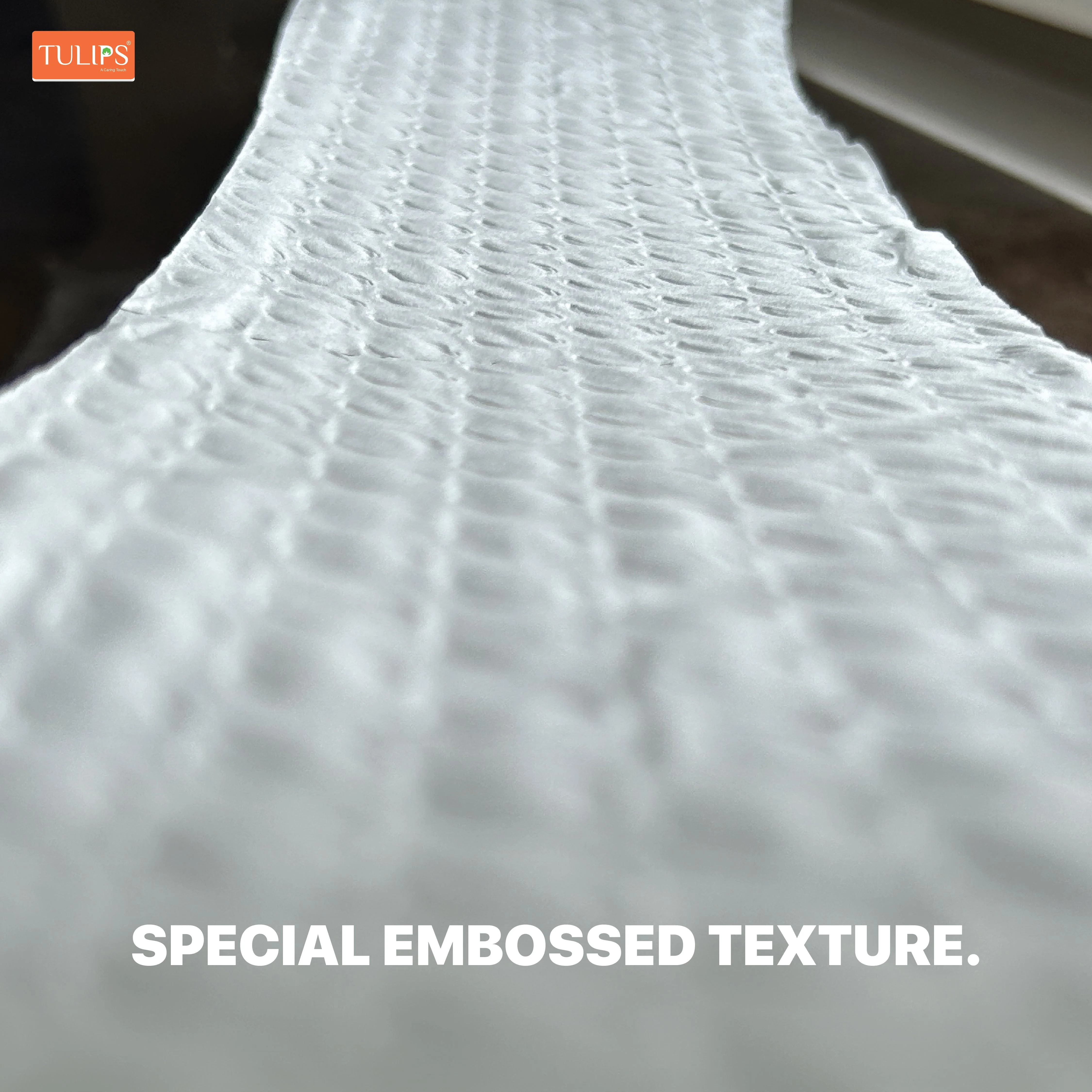 Toilet Roll (300 Pulls I 3 Ply) - Image 3